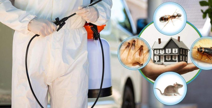 Buldan Böcek İlaçlama