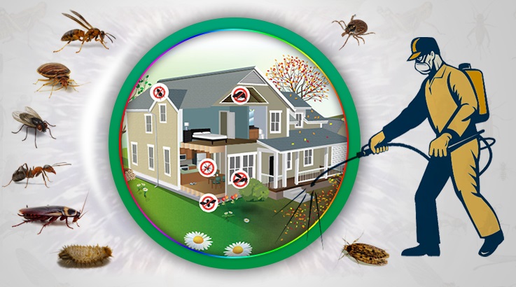 Buldan Böcek İlaçlama