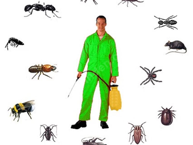 Buldan Böcek İlaçlama